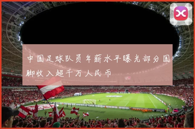 中国足球队员年薪水平曝光部分国脚收入超千万人民币