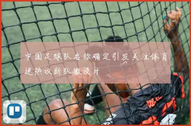 中国足球队名称确定引发关注体育迷热议新队徽设计