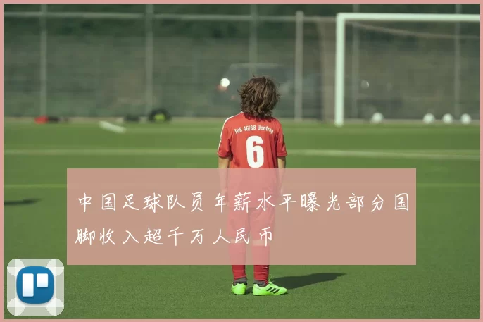 中国足球队员年薪水平曝光部分国脚收入超千万人民币